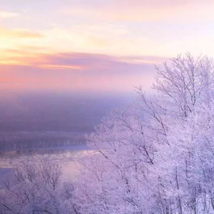 TheAsianGayTubetwink平台安全吗
